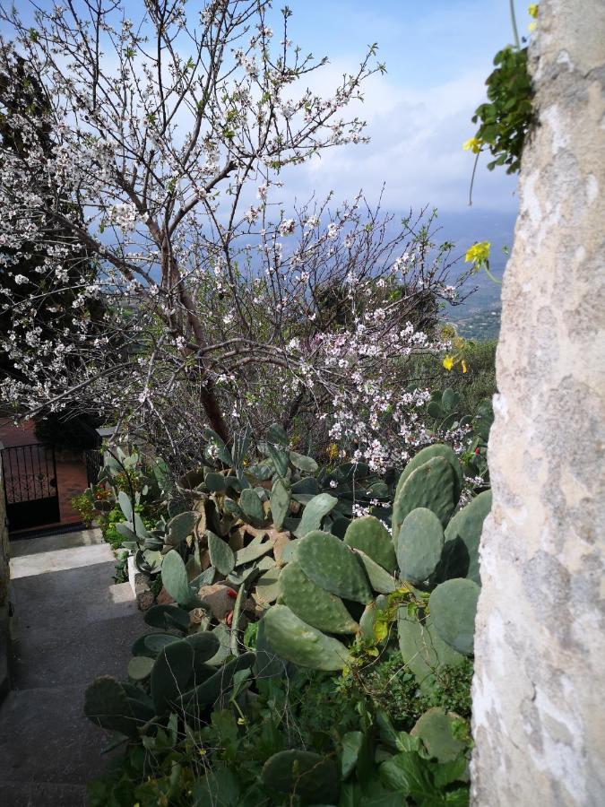 Casa Opuntia Pappaygiannades Exterior foto